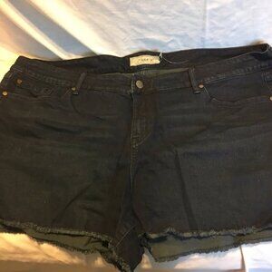 TORRID Women’s Jean Shorts – Size 26